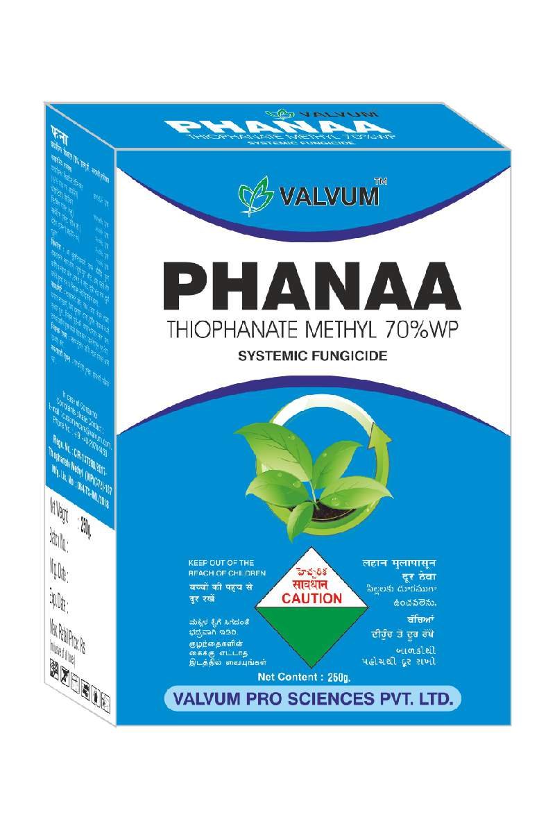 Phanaa