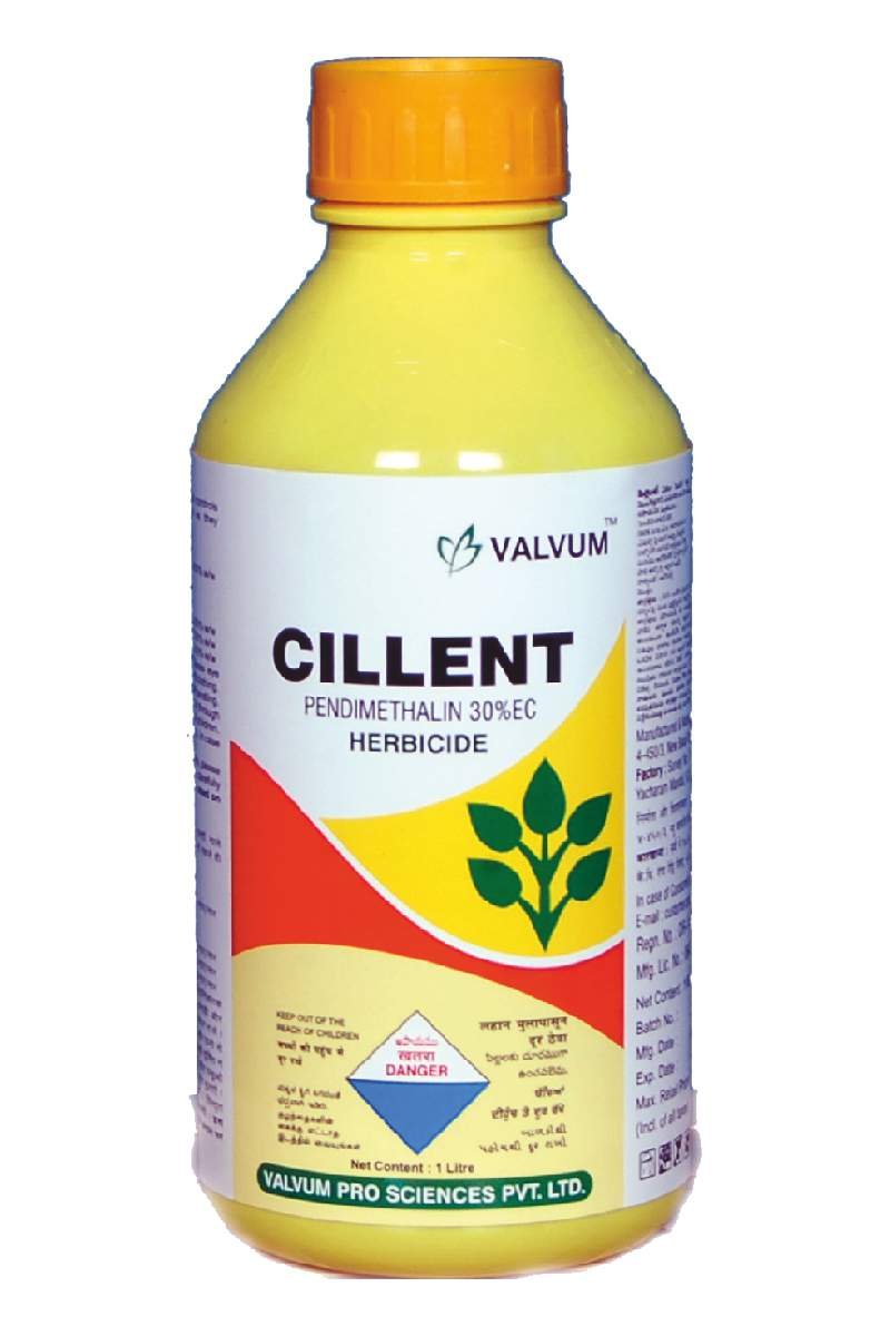 Cillent