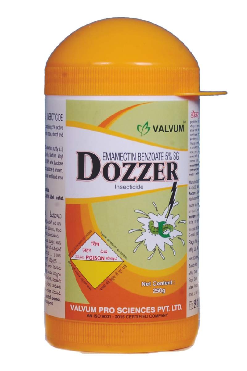 Dozzer