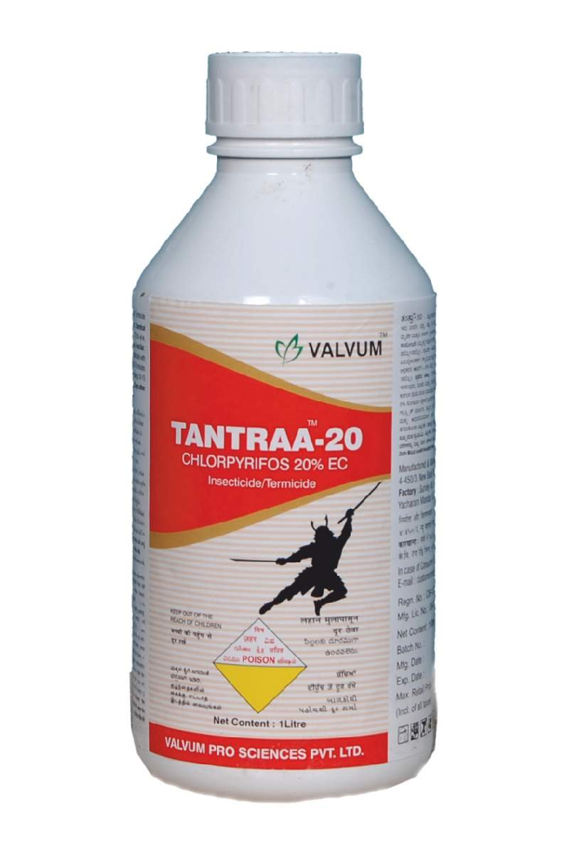 Tantraa-20