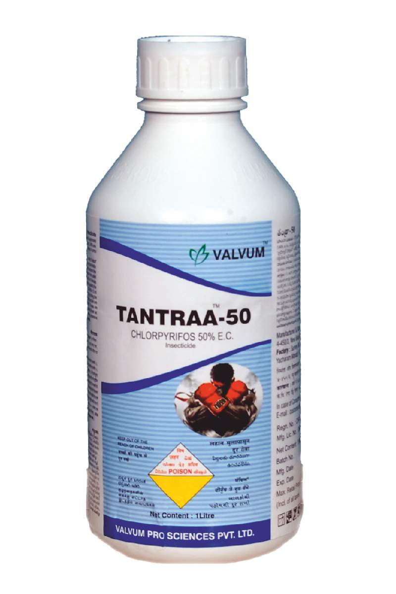 Tantraa 50