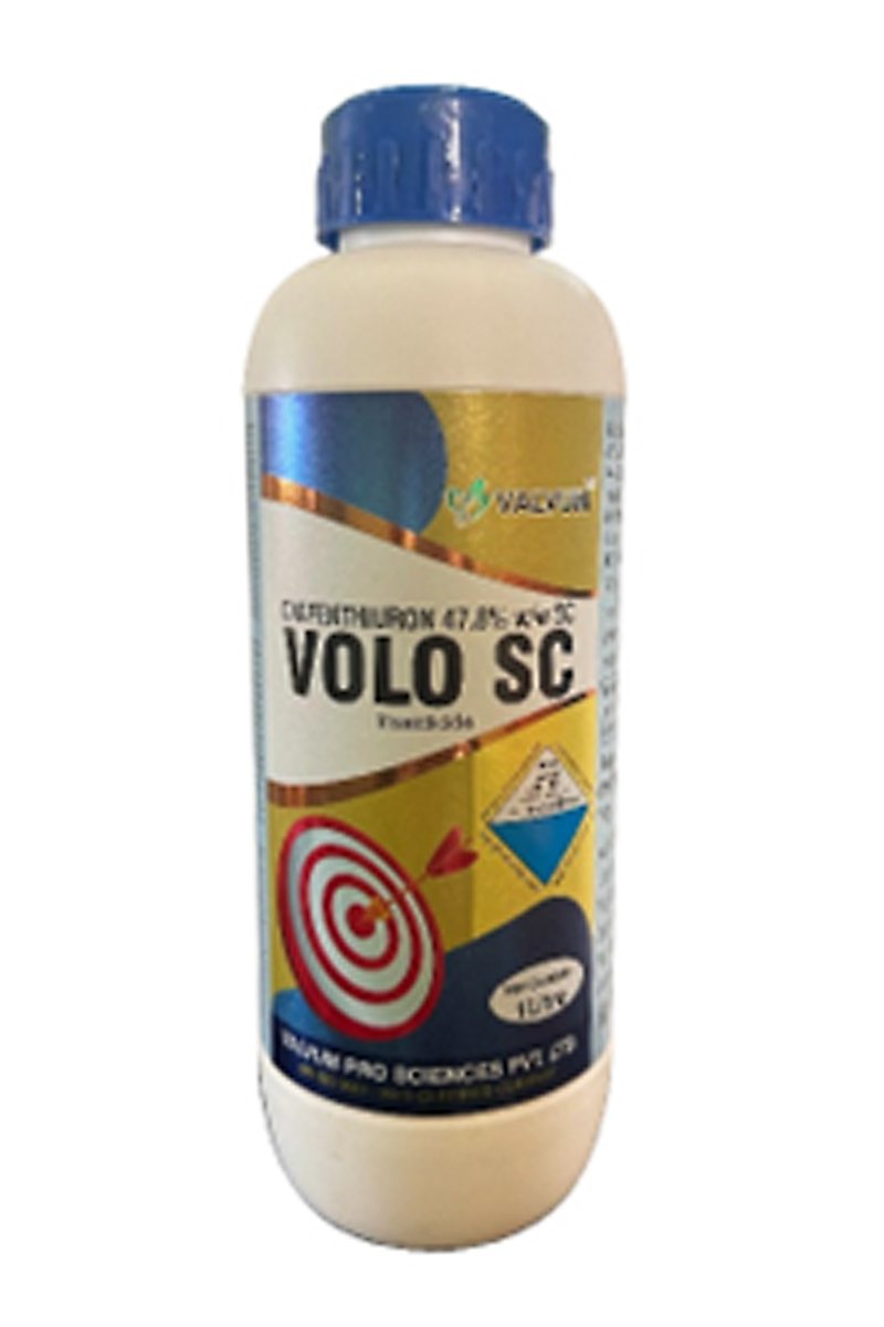 Volo sc
