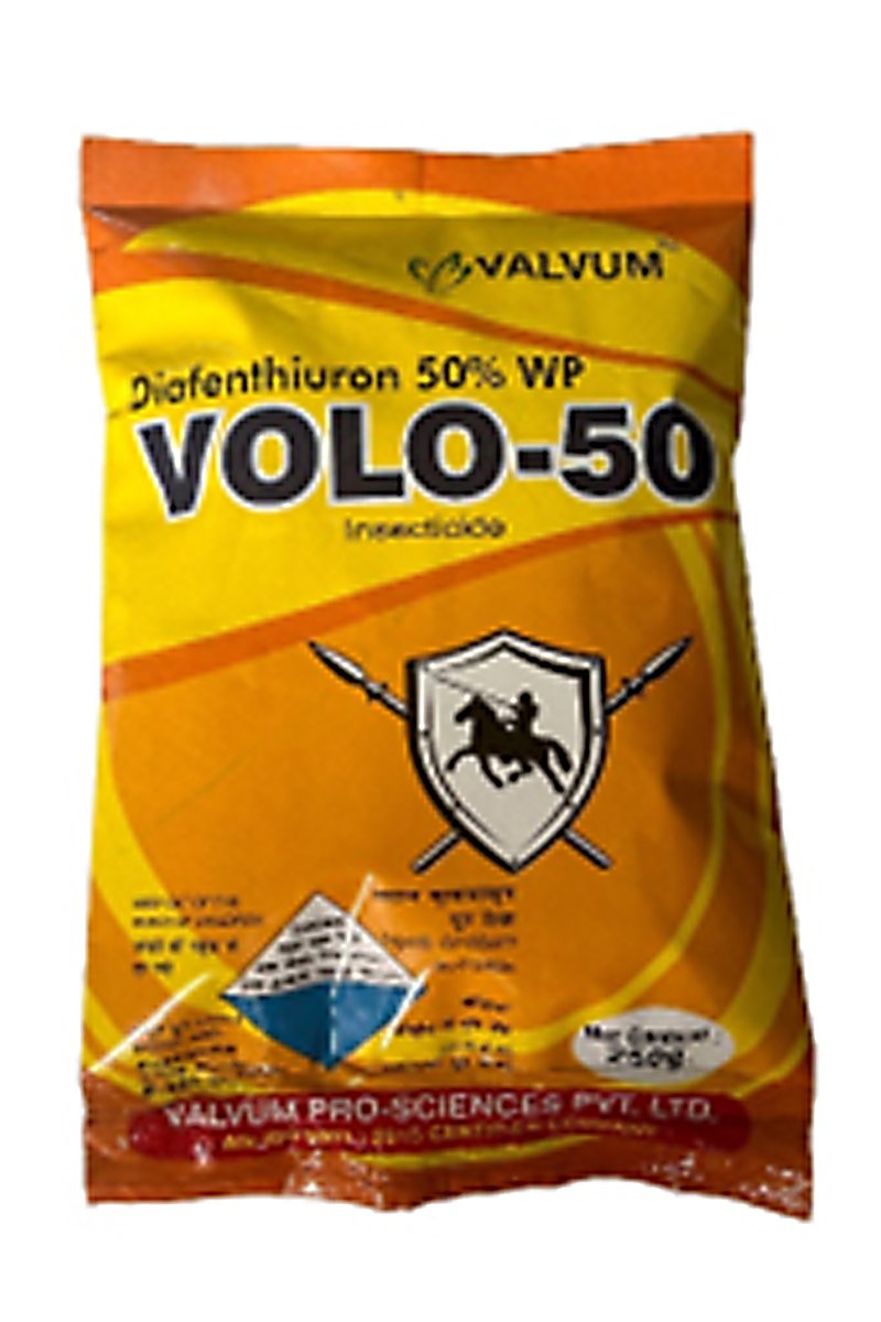 Volo - 50